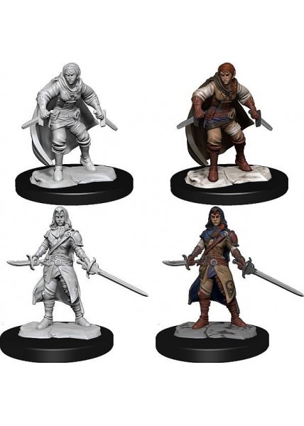 D&D Nolzur's Marvelous Miniatures: Half-Elf Rogue Male